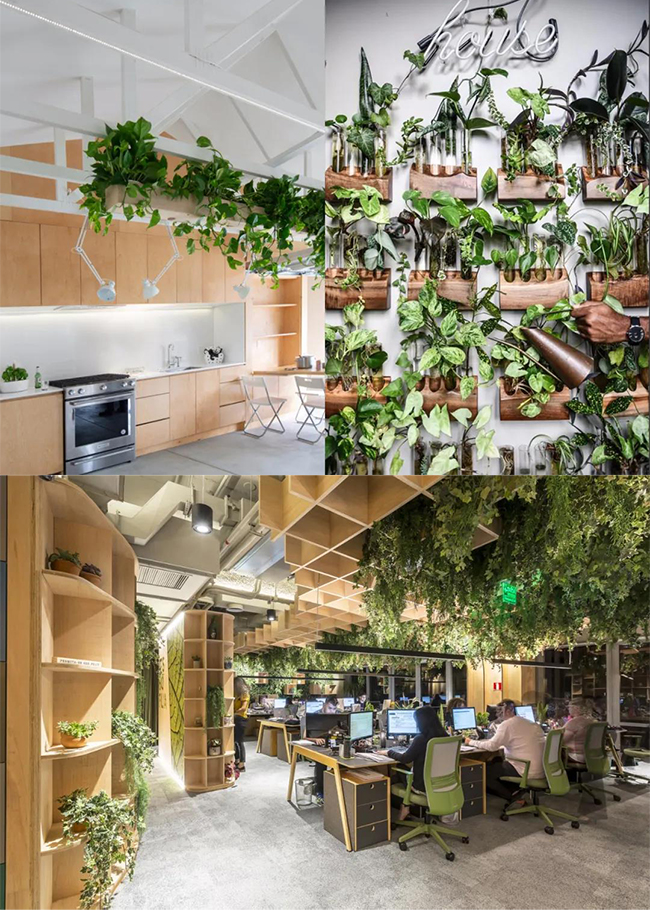 親生物設(shè)計(jì)