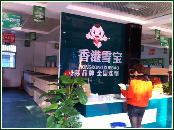 板材十大品牌-雪寶·背景墻 板材十大品牌-雪寶·背景墻