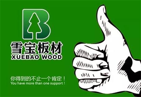 中國板材十大品牌