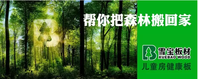 中國板材十大名牌