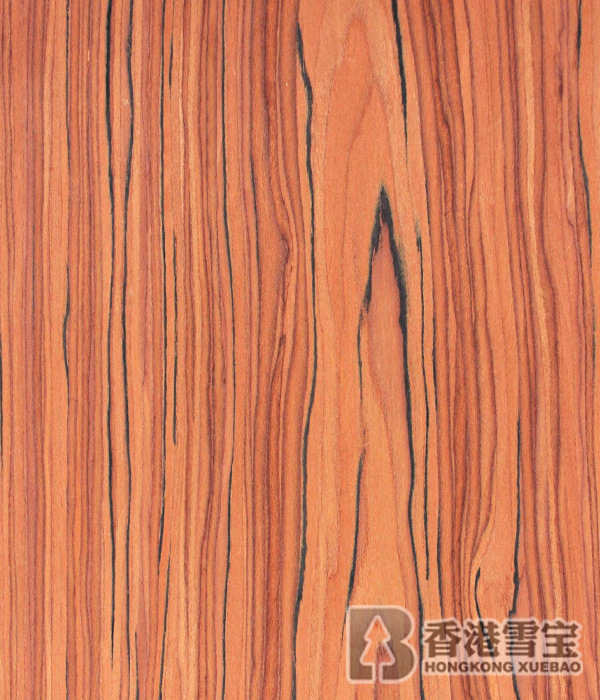 中國板材十大品牌