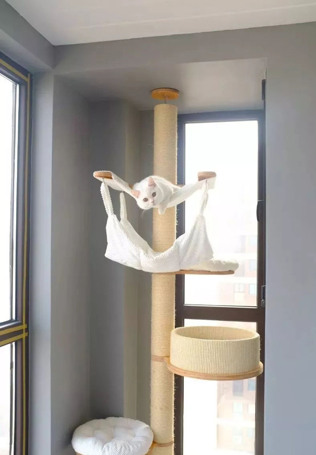 ���Ќ�������b���Լ��ļ��أ��@Щ�����܎��톢�l��