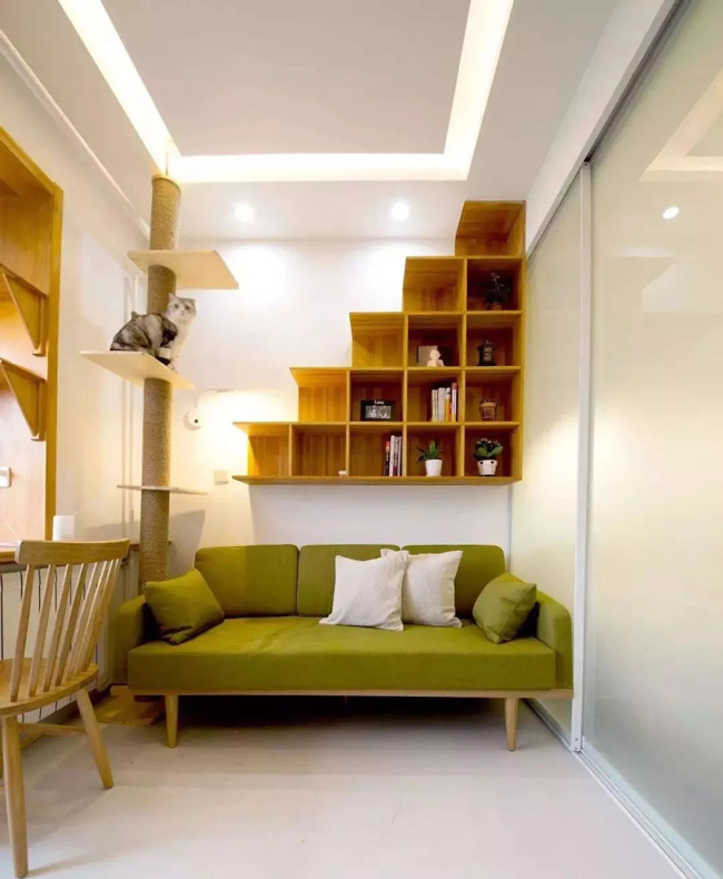 ���Ќ�������b���Լ��ļ��أ��@Щ�����܎��톢�l��