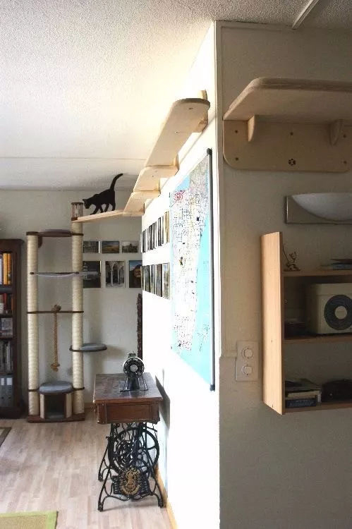 ���Ќ�������b���Լ��ļ��أ��@Щ�����܎��톢�l��